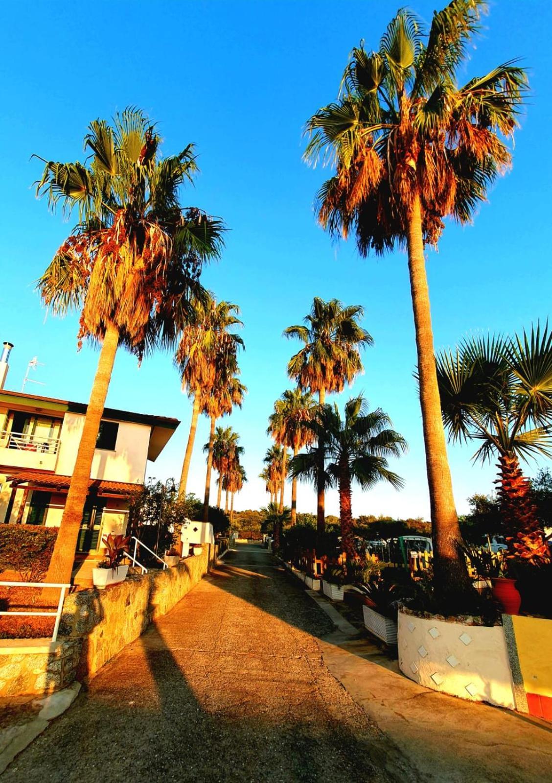 Santa Monica Residence Hotel Ricadi Exterior photo